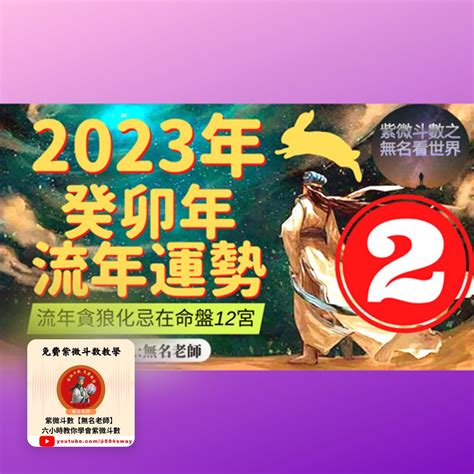 貪狼化忌2023|2023年，癸卯年，紫微斗數流年運勢分析